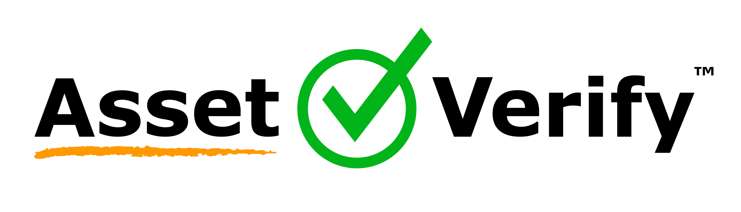 Asset Verification Services | AssetVerify 